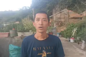 蜂群一个月只能开箱看一次？如果真的这样，离蜂群灭亡可能不远视频封面