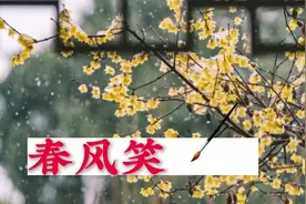 对对联，上联：春风笑人瘦，请您对下联视频封面