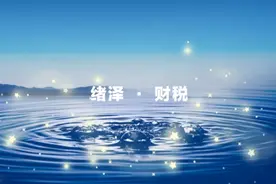 汇算清缴（年报）纳税调整项目明细表A105000，极简填表说明一视频封面