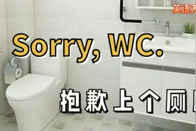 英语sorry，WC翻译成“抱歉上个厕所”超级尴尬了视频封面