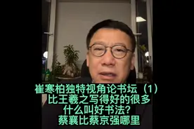 比王羲之写得好的多的是 什么叫好书法 蔡襄强于蔡京 崔寒柏视角视频封面