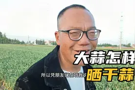 大蒜晒干蒜应该怎样晒，都有什么讲究，听老四怎么说的视频封面