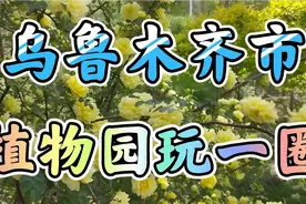 乌鲁木齐市植物园玩一圈视频封面