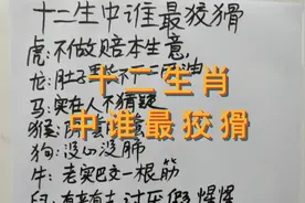 十二生肖中最狡猾的生肖，看看有没有你，你是实在人还是狡猾人，视频封面