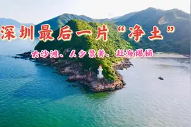 藏在深圳最后的一片“净土”，人少景美还免门票，赶海直接爆桶视频封面