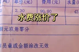 我们是哈尔滨管辖的郊区，水费已经涨到2块3一吨，电价会不会再涨
