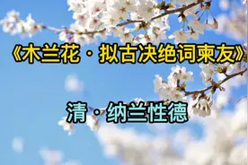 “人生若只如初见”这是怎样的浪漫和美好啊，一起来欣赏吧！视频封面