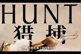蜘蛛雨的神秘事件视频封面