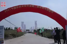 青岛西海岸：“蟹”逅丰收图片