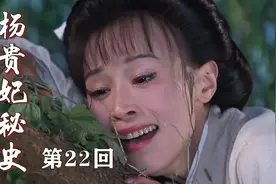 阿蛮没有救活丈夫，悲伤过度哭晕过去，不料醒来贵妃告诉她怀孕了视频封面