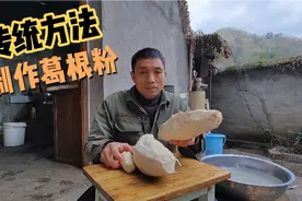 农村到处都是葛根，大叔用传统方法制作葛根粉，这样做才正宗视频封面
