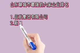 山东聊城市最强的六家企业排名视频封面