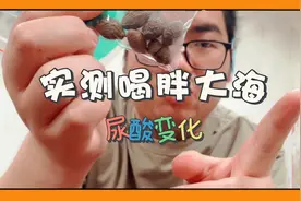 以身试酸：实测喝一整天胖大海茶尿酸影响变化！数值惊喜！视频封面