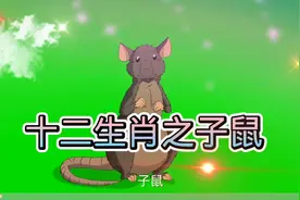 十二生肖之子鼠视频封面