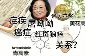 世卫:疟疾彻底被中国消除，青蒿素有多神奇？抗癌？治红斑狼疮？视频封面