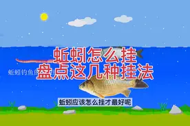盘点钓鱼时5种蚯蚓挂法，不同的挂法，效果完全不同哦～视频封面