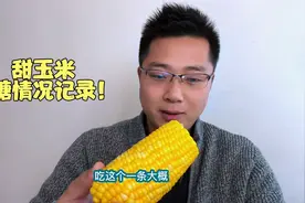 甜玉米升糖情况如何？吃一根看看血糖变化情况！视频封面