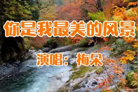 梅朵一首《你是我最美的风景》优雅的歌声，唱出了爱情的甜蜜！视频封面