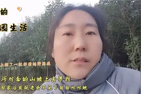 去城里回家后 发现老爸不见了我和老妈匆匆忙忙去河对面坡上找寻视频封面