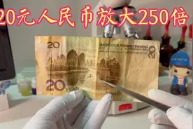 把20元人民币放大250倍，看在江中的老爷爷在做什么！视频封面