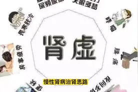 国医大师邹燕勤谈：肾病治肾思路之1.维护肾气，治病求本视频封面
