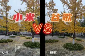 小米10安装谷歌相机，能提升像素吗？都说谷歌算法强，结果打脸了视频封面
