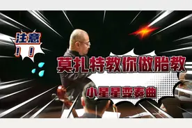 胎教神曲—小星星变奏曲 作者莫扎特视频封面