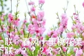 上联：春风十里桃花笑；诚邀各位才子佳人赐下联。视频封面