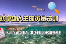 没必要为了别人看法而改变，但没人在乎的时候，恐怕也不是件好事视频封面