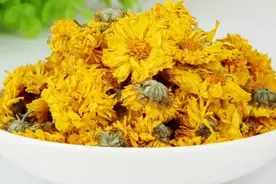 菊花的功效与作用有哪些？黄菊、白菊、胎菊差别很大，如何选视频封面