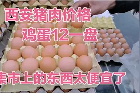 西安猪肉20一斤，鸡蛋12一盘，90后小夫妻直呼太便宜了，收获满满视频封面