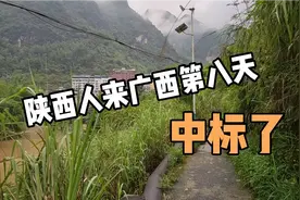 肺癌晚期1416天，陕西小伙来广西巴马长寿村，疗养还是受罪视频封面