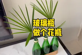 喝过的玻璃瓶饮料不要扔，随手一改就变成漂亮花瓶，摆在家里插花视频封面