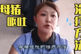 猪场母猪无名呕吐急坏养殖户老师傅两个配方帮你忙视频封面