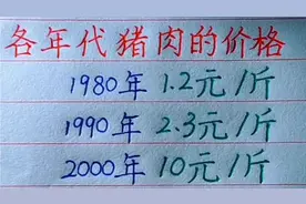 各年代猪肉的价格，你还知道哪些？欢迎补充视频封面