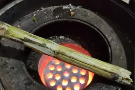 妈妈带领宝贝们一起吃烤甘蔗（止咳化痰）视频封面