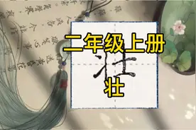 二年级上册生字楷书示范42【壮】