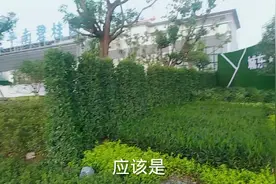 小县城大梦想，世界500强进驻平南！视频封面