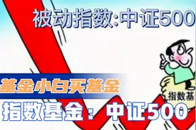 基金小白学知识，基金入门到精通:中证500指数基金视频封面