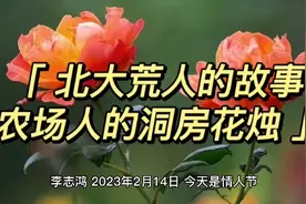 北大荒人的故事-农场人的洞房花烛视频封面
