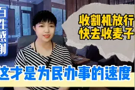 让收割机下高速快去抢收麦子，这才是为民办实事的速度！视频封面
