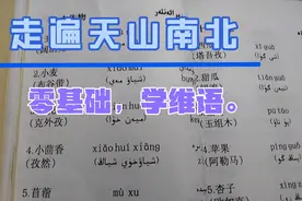 零基础，学维语.(18)视频封面