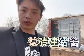 拉来一车砖，准备建猪舍，养猪人的日常，辛苦努力把钱赚，加油！视频封面