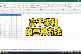 Excel高手求和的三种方法视频封面