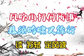 风吹雨打何所惧，且须吟啸又徐行/读苏轼/定风波·一蓑烟雨任平生视频封面