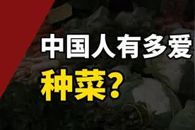平均每个中国人每年吃掉半吨蔬菜，中国人是如何种菜的？视频封面