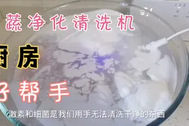 看看果蔬净化清洗机洗出来了什么？猪肉，龙虾清洗十分钟后成这样视频封面