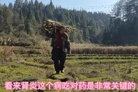 慢性肾炎吃药住院都不见好，却被民间侗医治好了，胖哥可上山砍柴视频封面