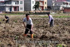 农村五保户去世后，遗留的土地和宅基地归谁？视频封面