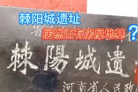 朱立朝带你看家乡南阳新野棘阳城遗址，居然还有街道，房屋地基？视频封面